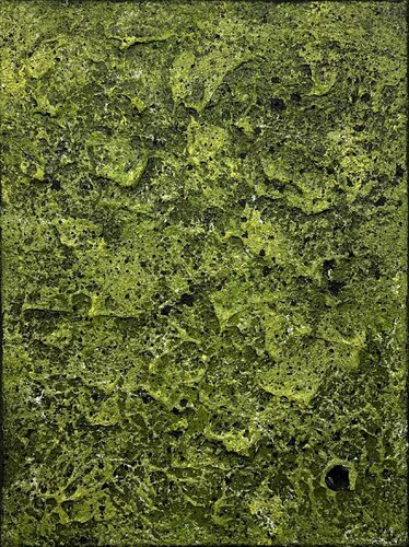 Mossy Lava Field no. 2520 by Klara Gunnlaugsdottir, Painting for Sale on Singulart