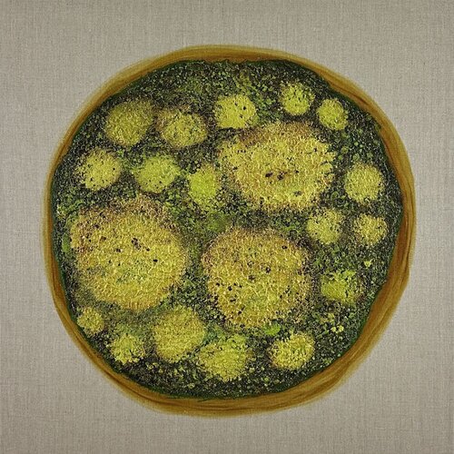 Round Mossy Art no. 2543 van Klara Gunnlaugsdottir, Schilderij te koop op Singulart