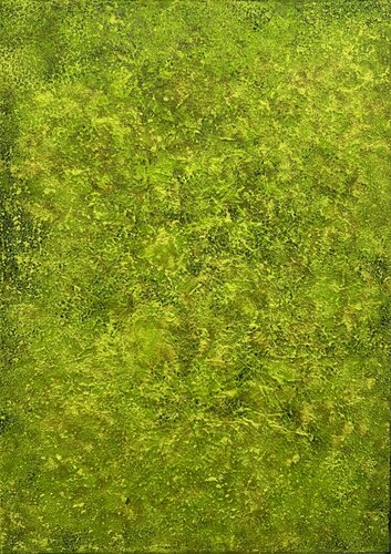 Green Moss Art no. 2553 von Klara Gunnlaugsdottir, Malerei kaufen auf Singulart