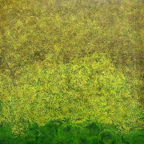 Mossy Fields no. 2555 by Klara Gunnlaugsdottir, Painting for Sale on Singulart