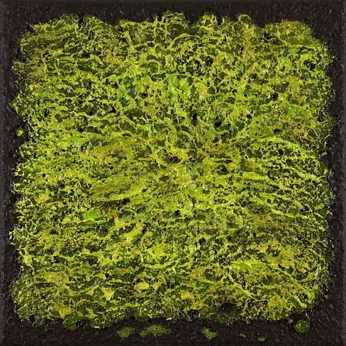 Mossy Terrain no. 2557 Klara Gunnlaugsdottir