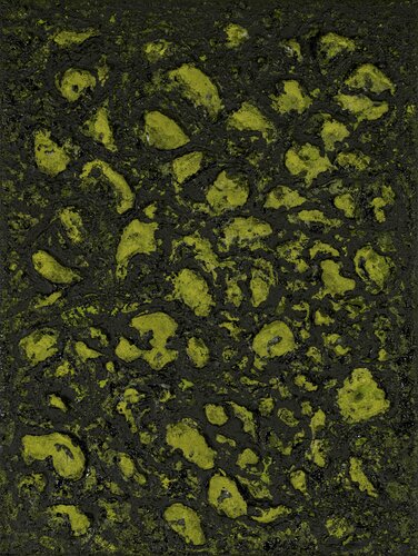 Mossy Lava Field no. 2457 by Klara Gunnlaugsdottir, Print for Sale on Singulart