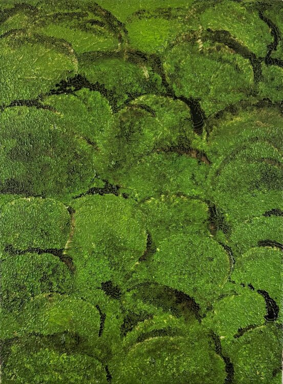 Nature's Blanket no. 2537 Klara Gunnlaugsdottir