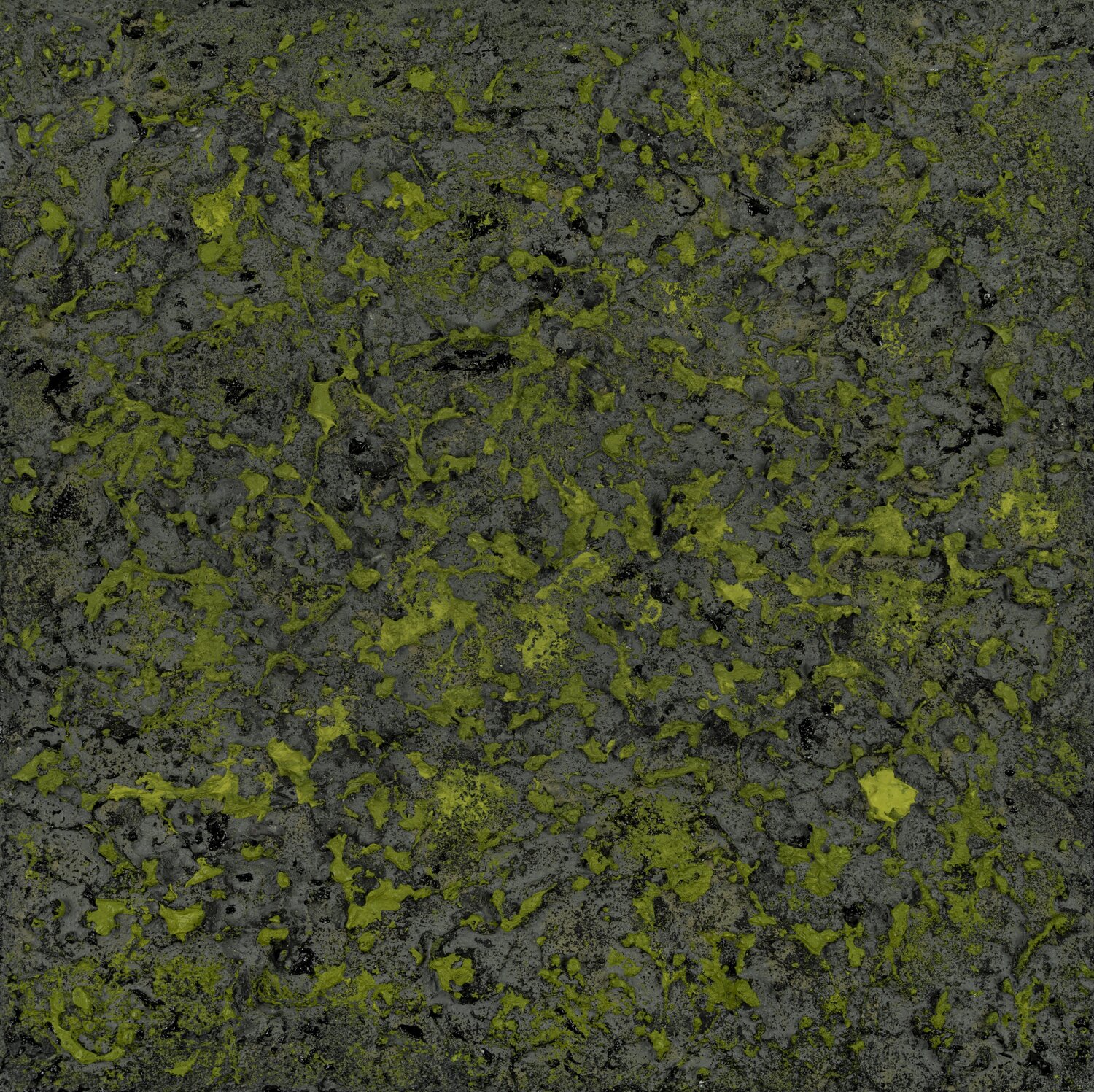 Mossy Lava Field no. 2455 Klara Gunnlaugsdottir