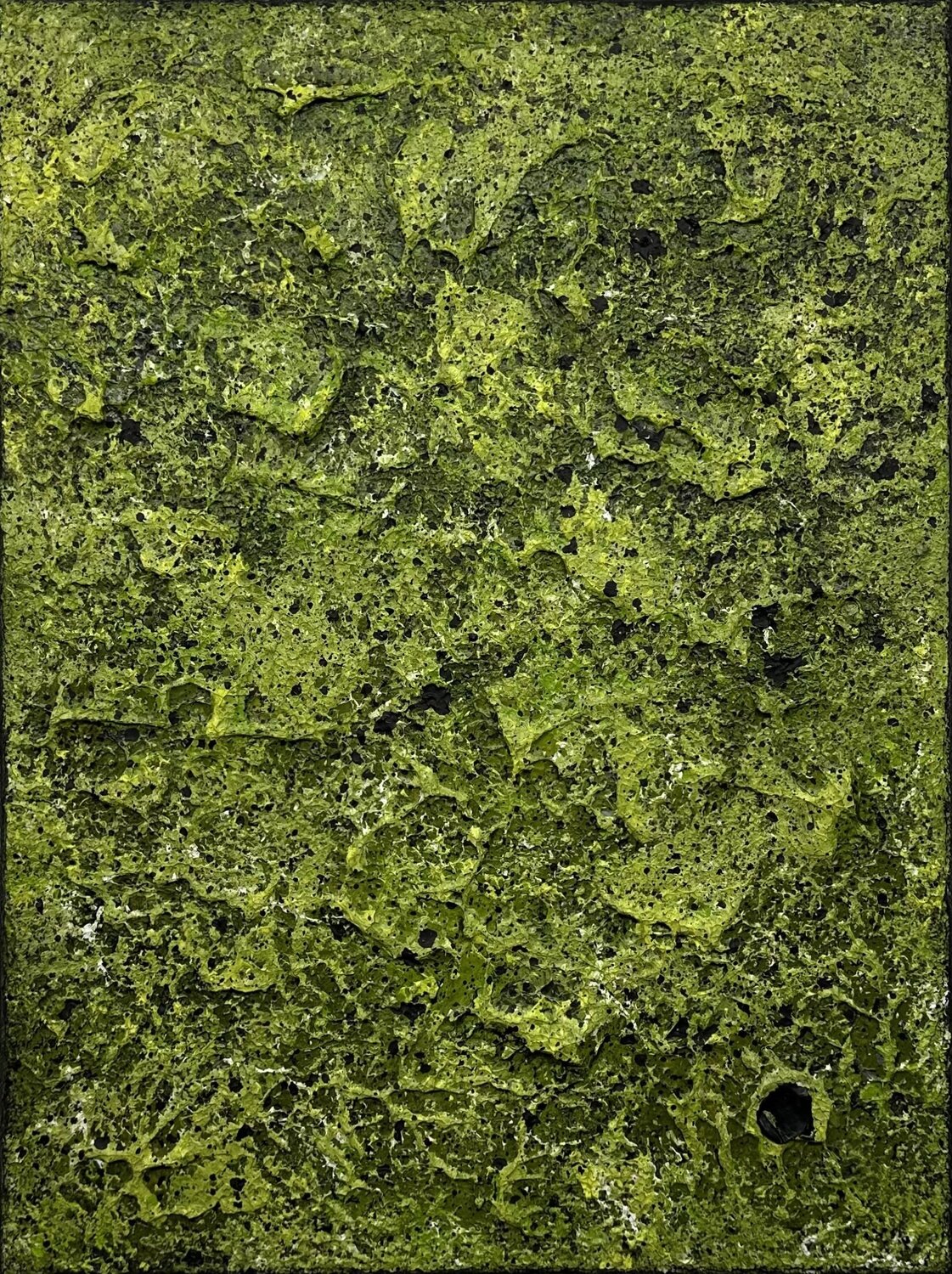Mossy Lava Field no. 2520 Klara Gunnlaugsdottir