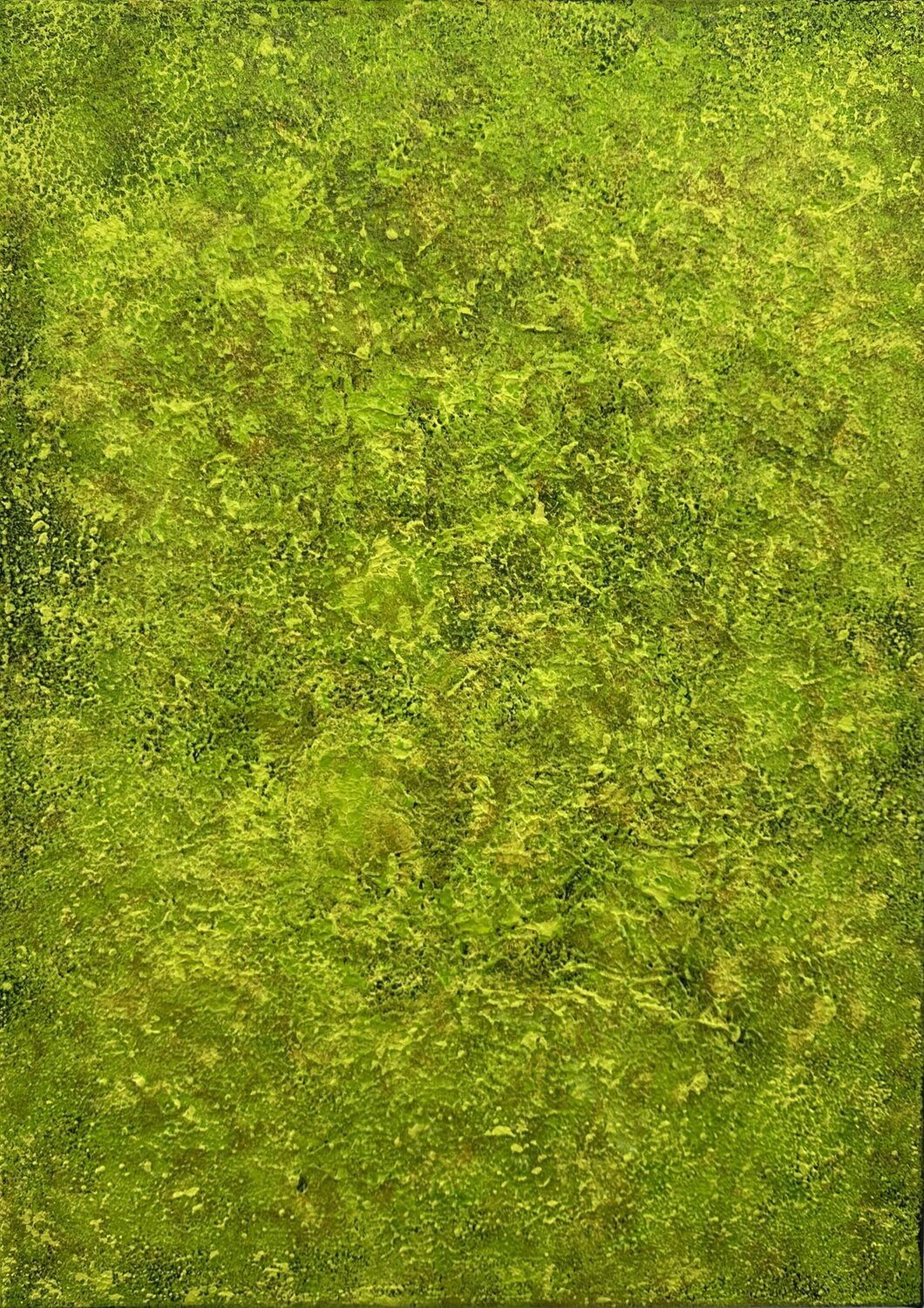 Green Moss Art no. 2553 Klara Gunnlaugsdottir