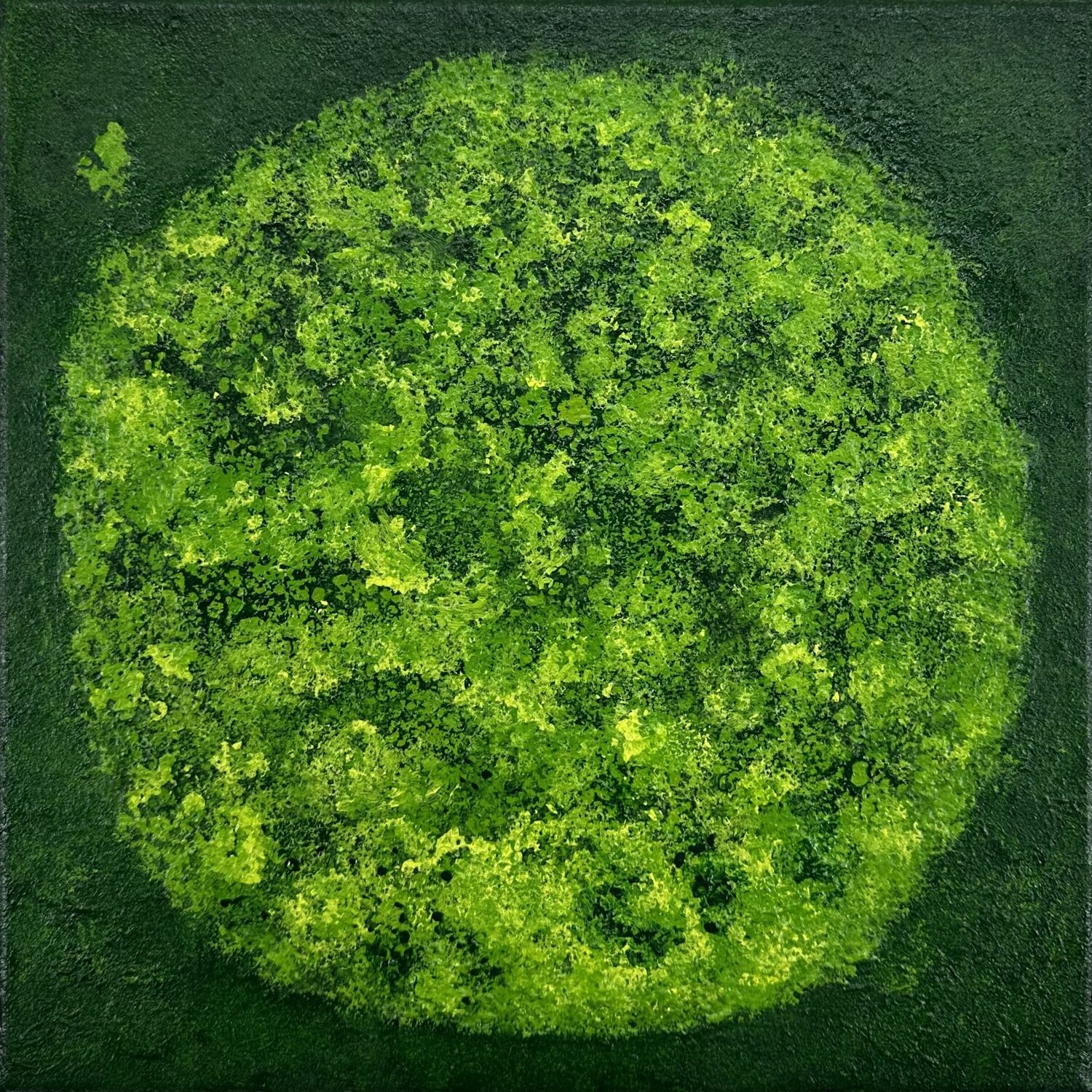 Round Mossy Art no. 2554 Klara Gunnlaugsdottir
