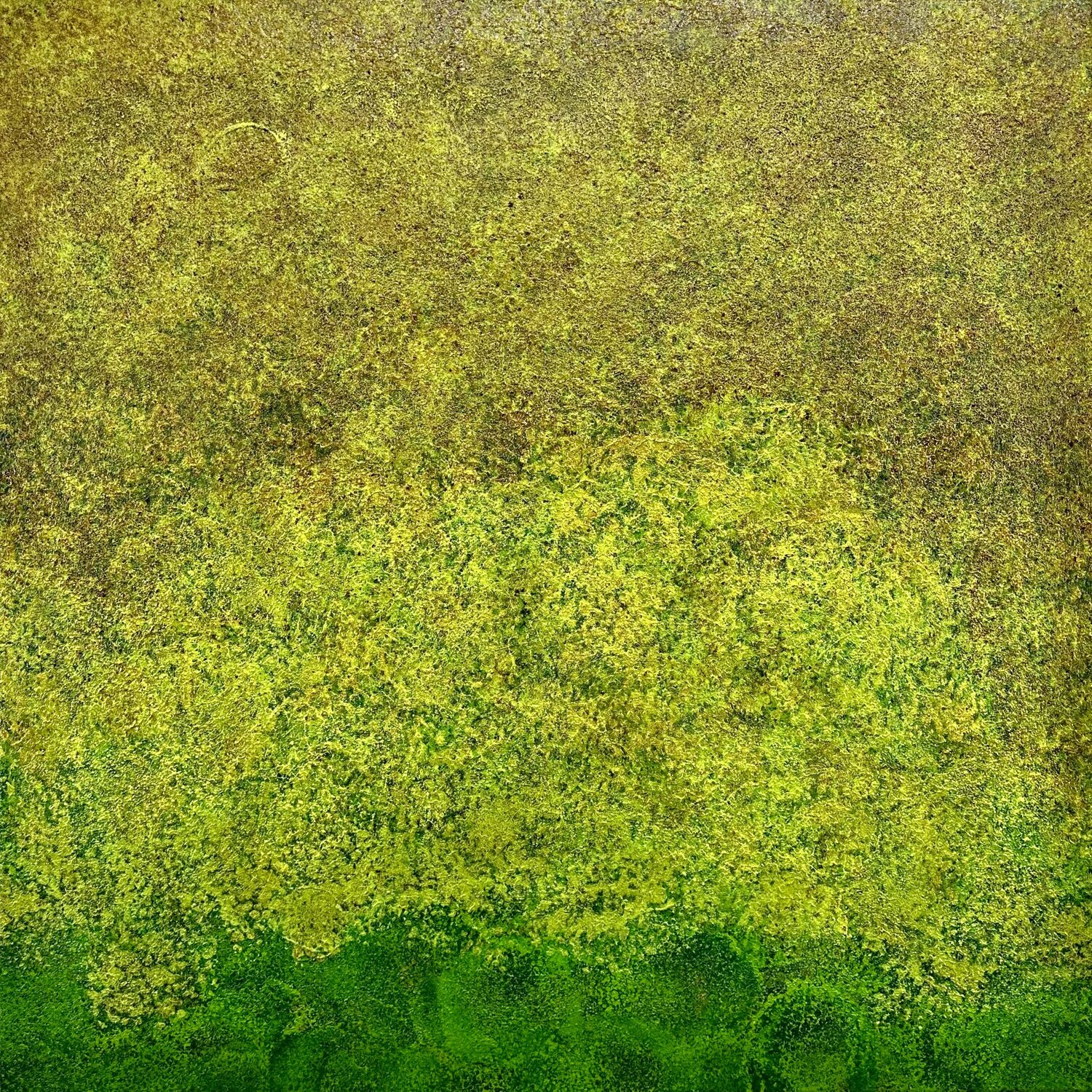 Mossy Fields no. 2555 Klara Gunnlaugsdottir