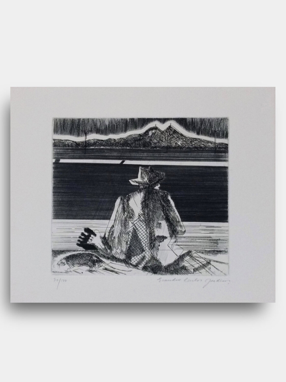 ECM#11 Evandro Carlos Jardim Stampa in vendita