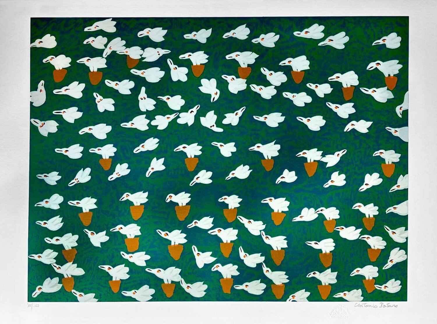 Green Flight Antonio Poteiro