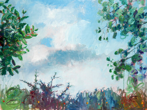 Of Sky and Earth #14 Stephen Linsteadt