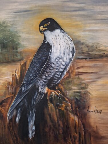 Peregrine falcon von Vanda Direne, Malerei kaufen auf Singulart