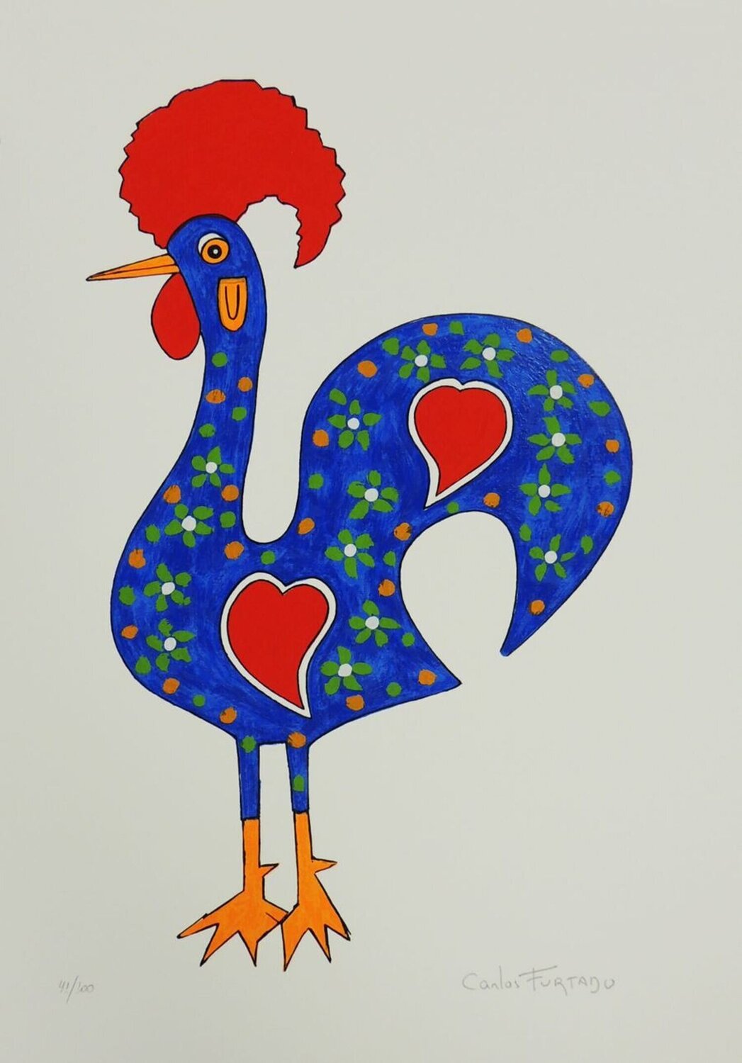 Galo Portugues Carlos Furtado