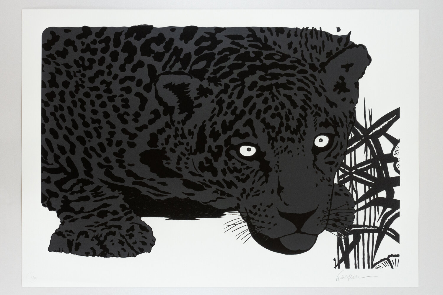 Jaguar Gray Kléber Ventura Stampa in vendita