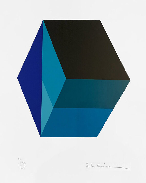 Sem Título Paula Kadunc