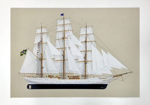 Cisne Branco di Flávio Lafraia, Stampa in vendita su Singulart