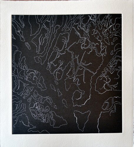 Tree Series: Normana II Nate Cassie