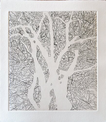 Tree Series: SSA I by Nate Cassie, Print for Sale on Singulart