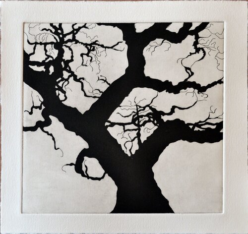 Tree Series: Olmos III by Nate Cassie, Print for Sale on Singulart