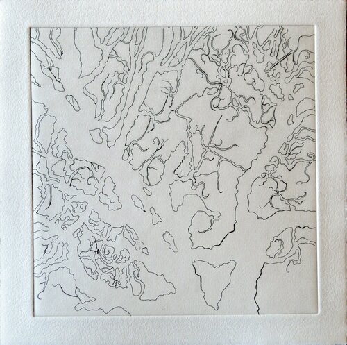 Tree Series: Normana I Nate Cassie