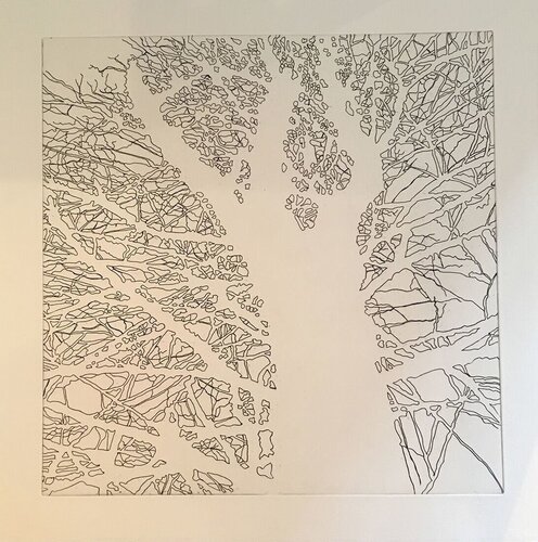 Untitled (Jamaica, VT) First State Four American Trees, Hare & Hound Press van Nate Cassie, Afdruk te koop op Singulart