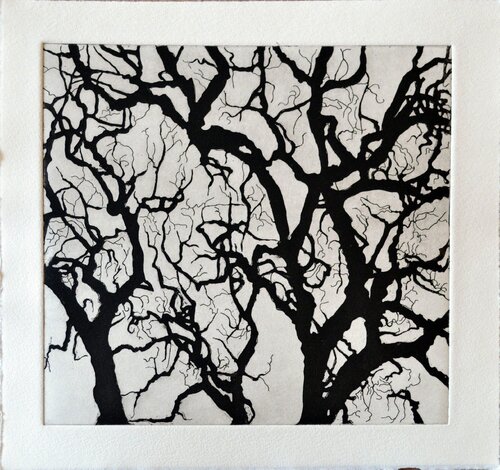 Tree Series: SAMA III van Nate Cassie, Afdruk te koop op Singulart