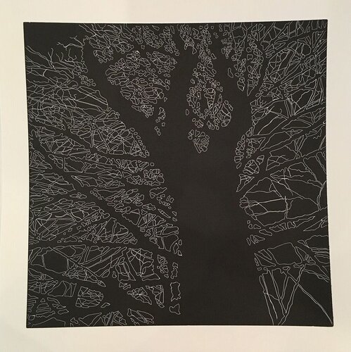 Untitled (Jamaica, VT) Second State, Four American Trees, Hare & Hound Press van Nate Cassie, Afdruk te koop op Singulart