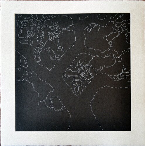 Tree Series: Olmos Park, II Nate Cassie