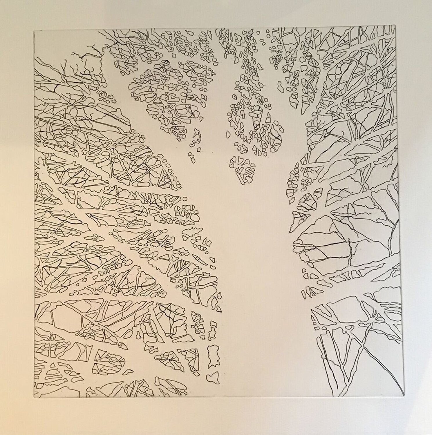 Untitled (Jamaica, VT) First State Four American Trees, Hare & Hound Press Nate Cassie Druck zu verkaufen