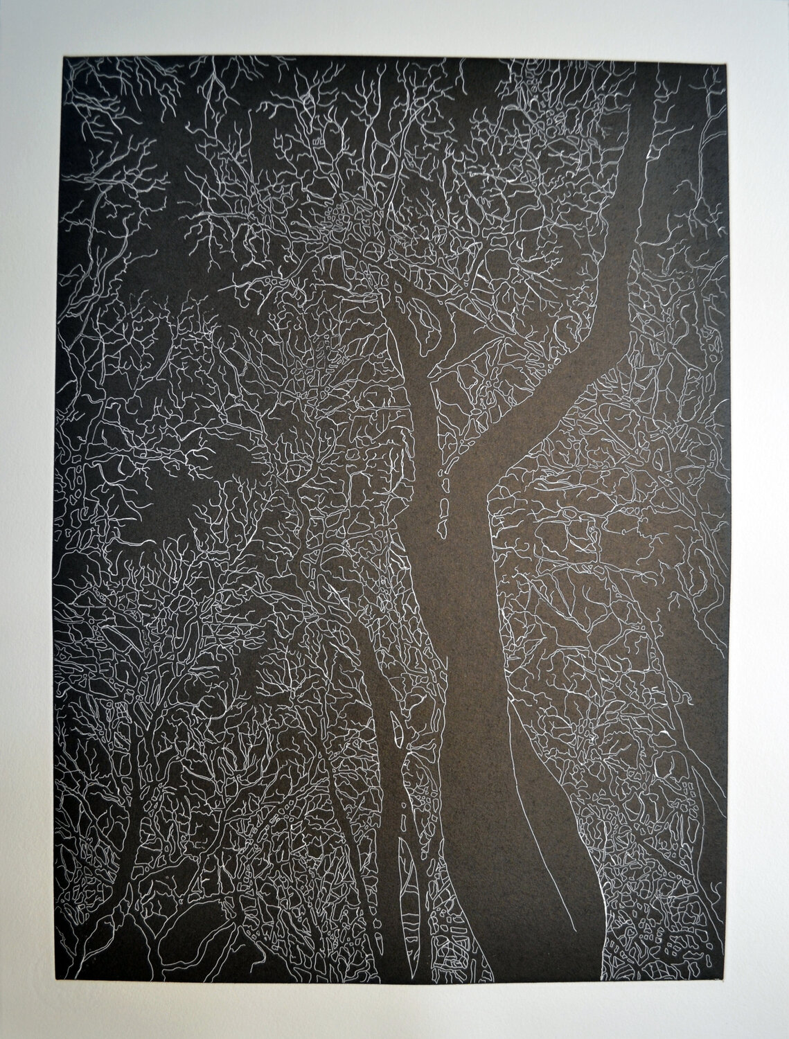 Untitled (Bryant Park) State II, Four American Trees Series, Hare & Hound Press Nate Cassie Druck zu verkaufen