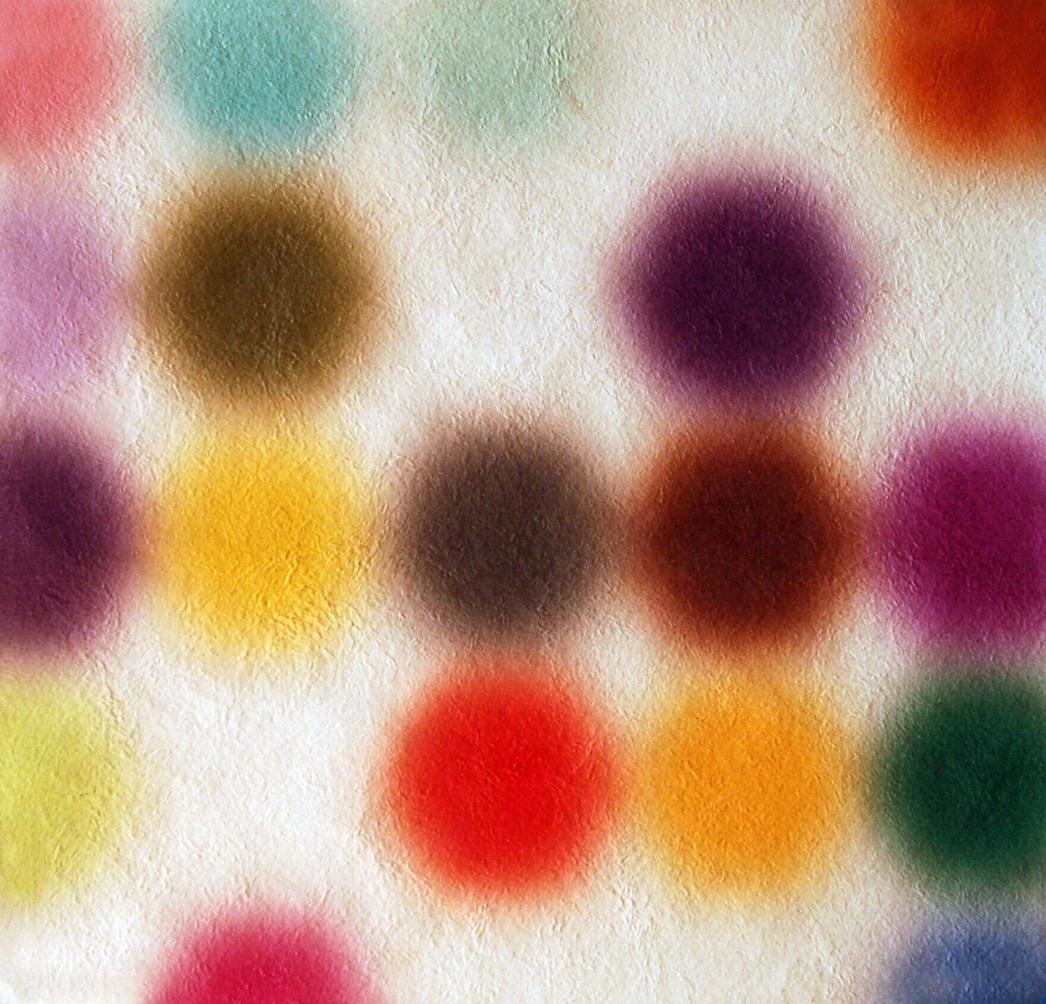 Untitled (Amate II) Andres Ferrandis Stampa in vendita