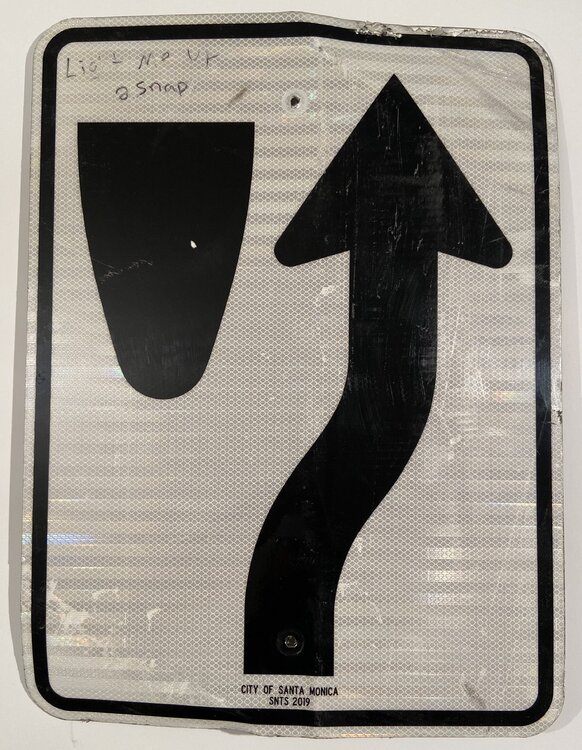 Vox Populi (A Working Man's Ruscha) David Silver