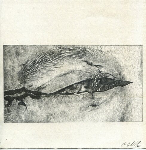 Cut Eye di Olivia Gibb, Opera su carta in vendita su Singulart