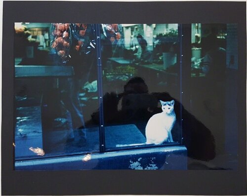 Manhattan - Flower Shop von Wolff Buchholz, Fotografie kaufen auf Singulart