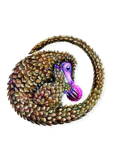 Flannel Animal Series (Second & Third Edition) van Kaitlyn Carlile, Werk op papier te koop op Singulart
