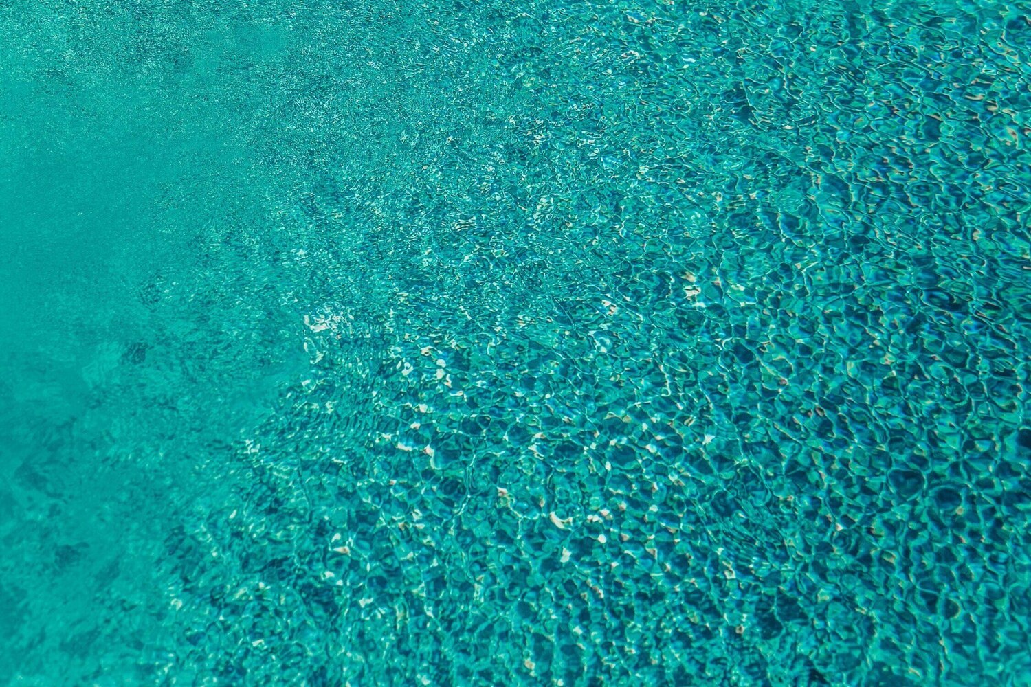 Pattern Series No.10 David Pugh