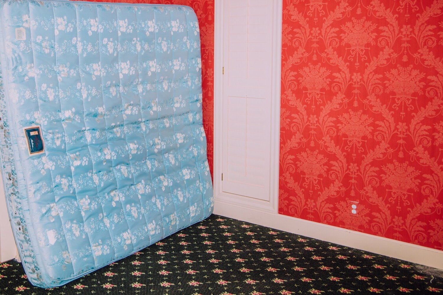 Pattern Series No.8 David Pugh