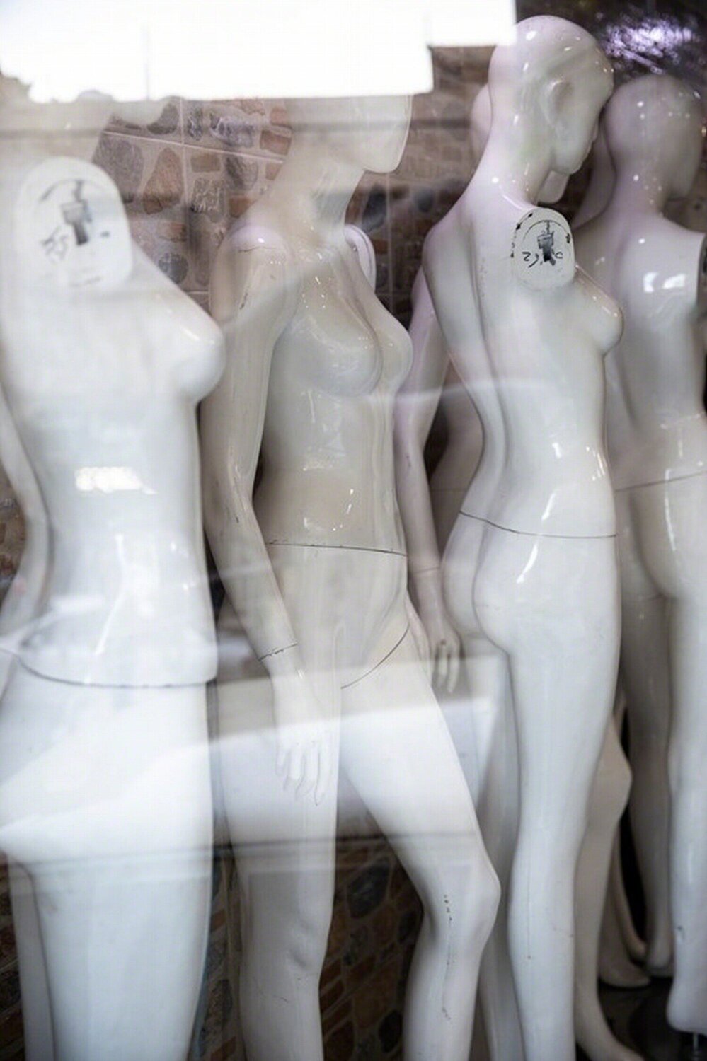 Display Rachel Lauren Photography for sale