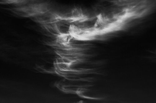 Whisp de Aaron Henry, Fotografía a la venta en Singulart