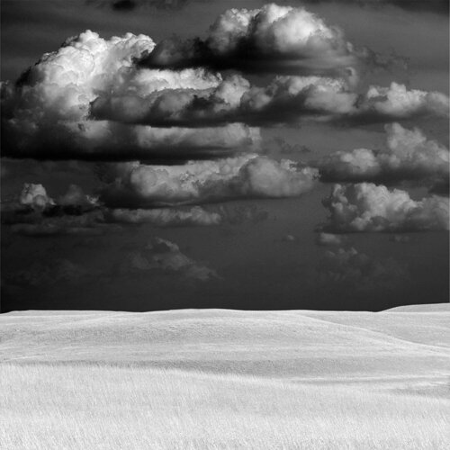 Certl'nd Grass de Aaron Henry, Fotografía a la venta en Singulart