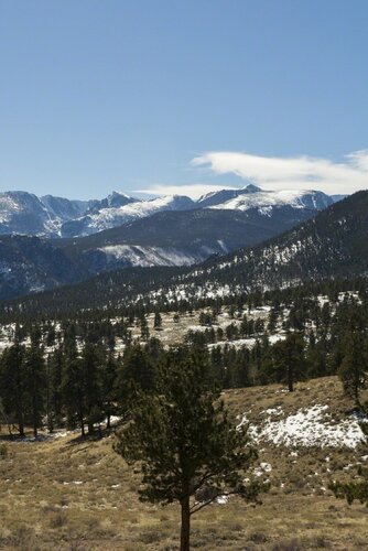 View Forward van Randee Lynn Pollarine, Fotografie te koop op Singulart