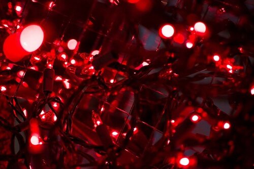 Peering van Randee Lynn Pollarine, Fotografie te koop op Singulart