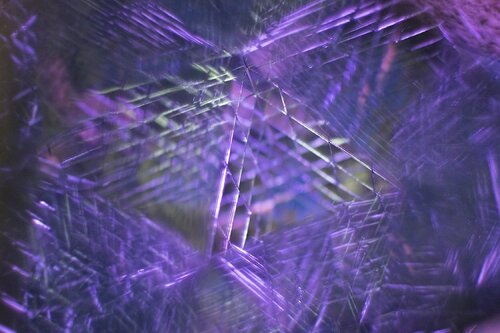 Complexity Purple van Randee Lynn Pollarine, Fotografie te koop op Singulart