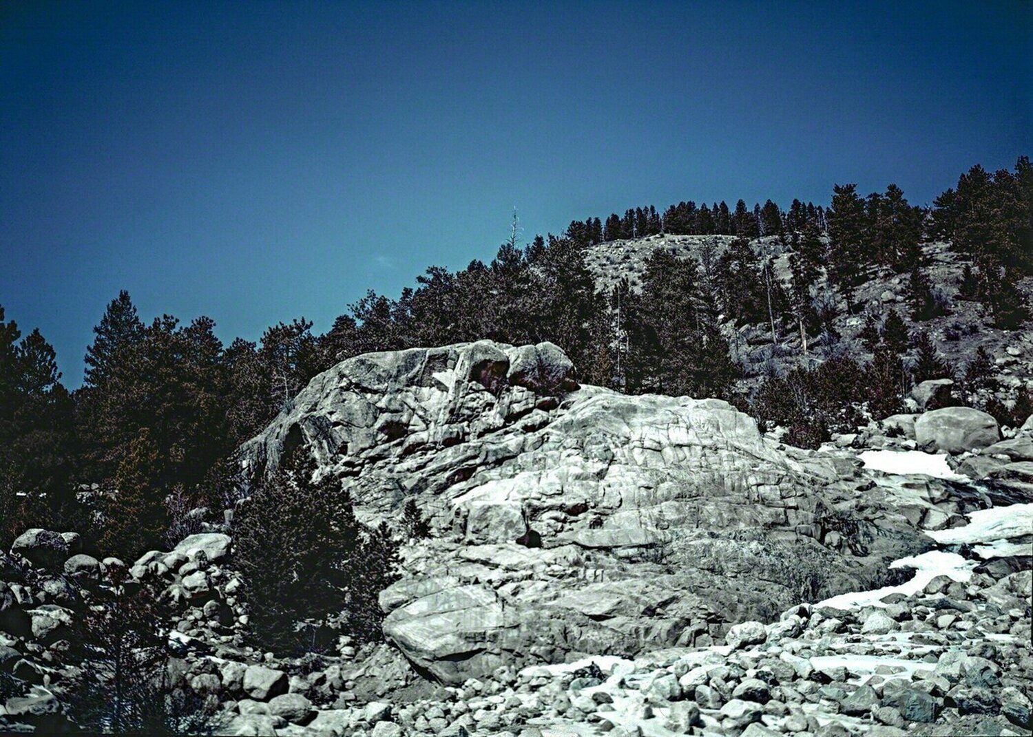 Trouble In the Rocks Randee Lynn Pollarine Fotografie te koop