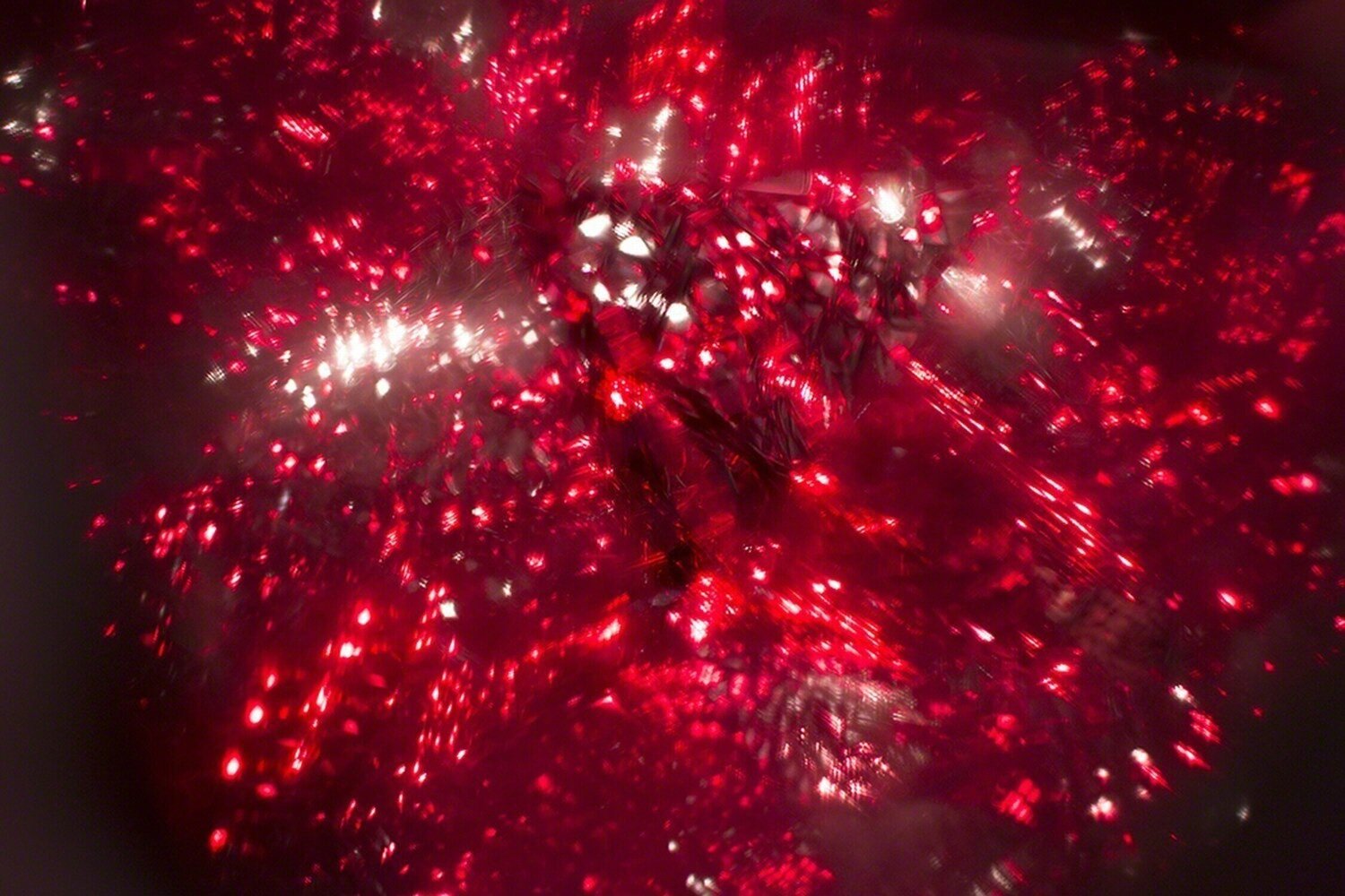Red Storm Randee Lynn Pollarine Fotografia in vendita
