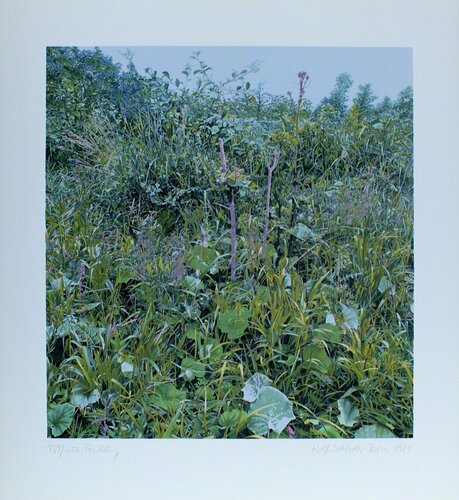 Spring Rolf Schröder-Borm
