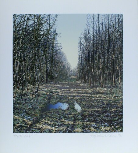 Fall by Rolf Schröder-Borm, Print for Sale on Singulart