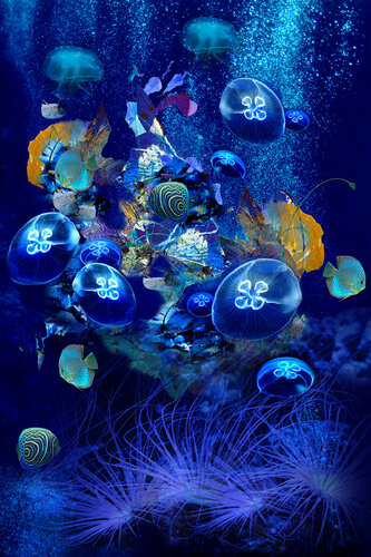 Aquarium di Simone Monney, Digitale in vendita su Singulart