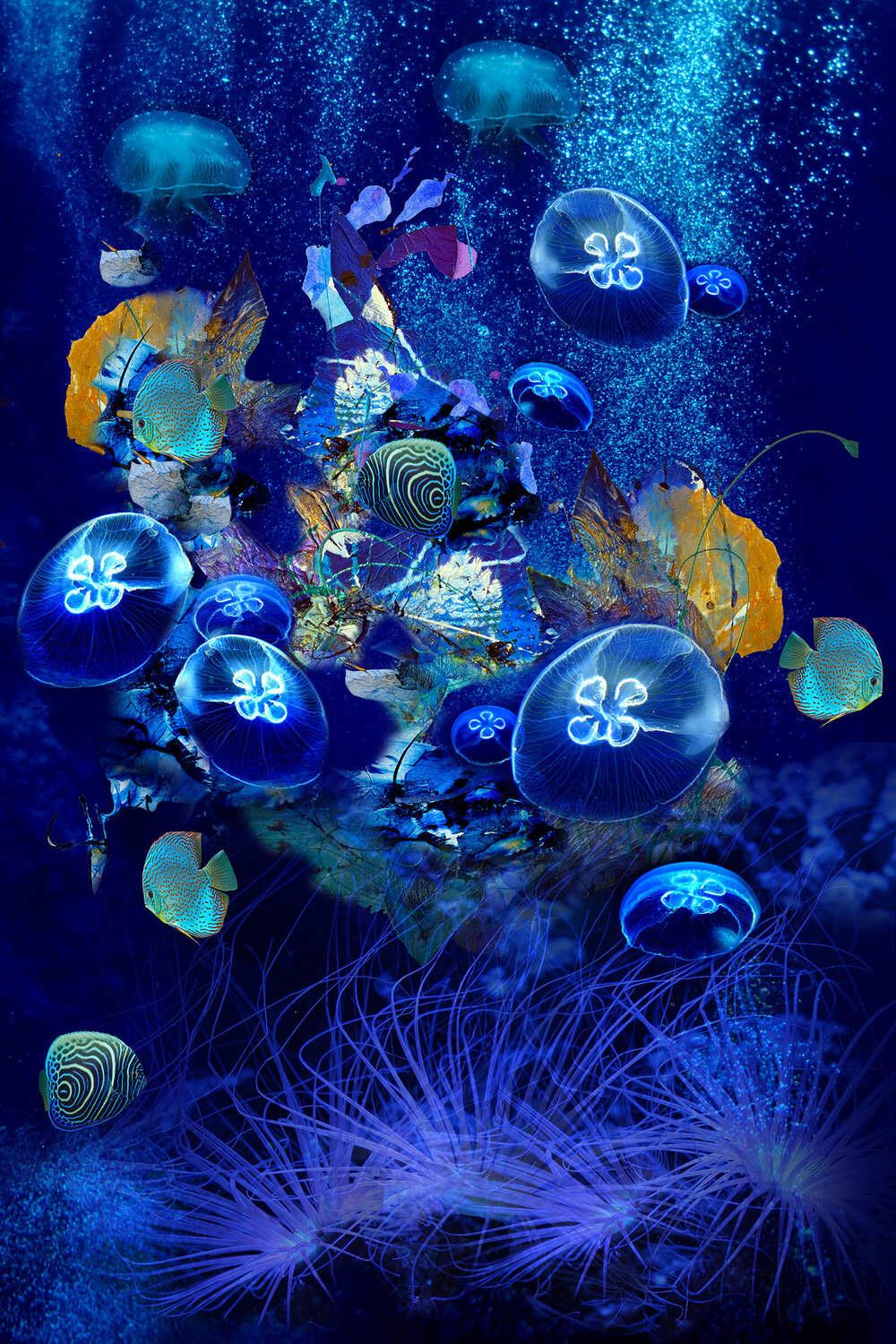 Aquarium Simone Monney