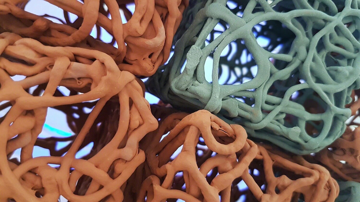 Untitled Danielle Weigandt Other Media for sale